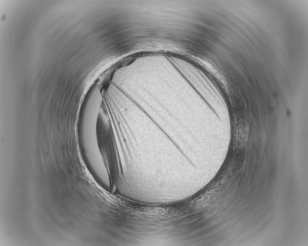 X0000086980943200705141712