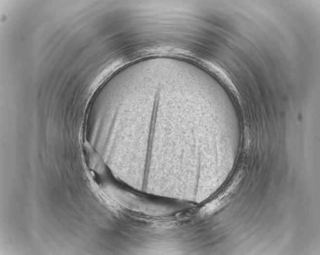 X0000086980946200705141712