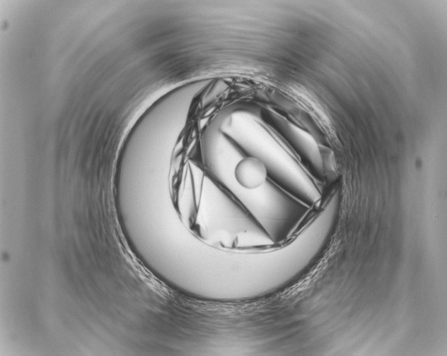 X0000086980948200705141712