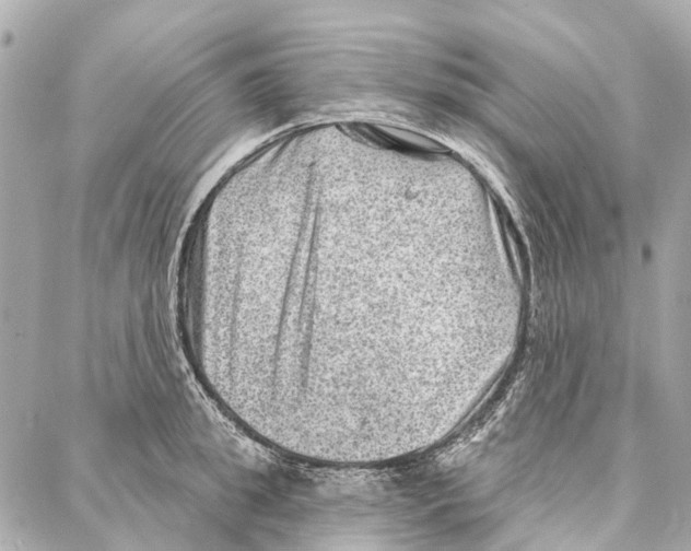 X0000086980949200705141712