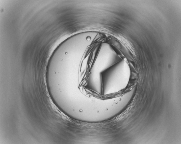 X0000086980950200705141712