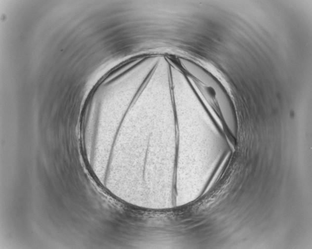 X0000086980951200705141712