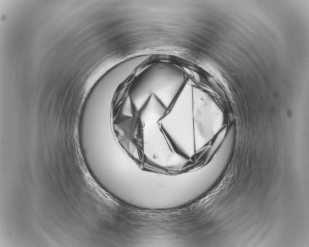 X0000086980952200705141712