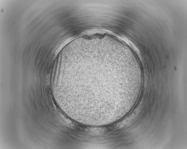 X0000086980953200705141712