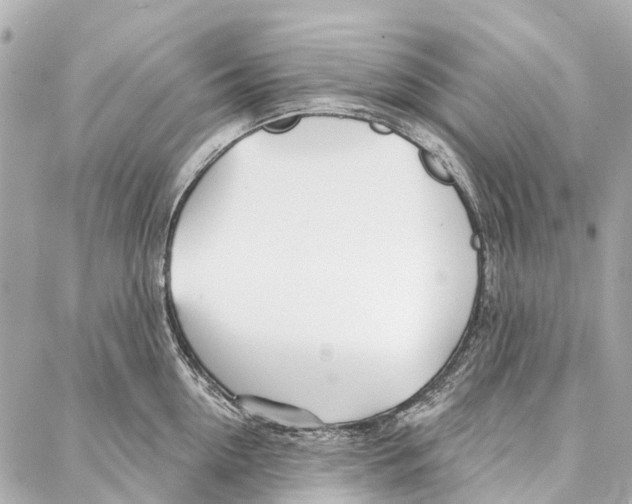 X0000086980954200705141712