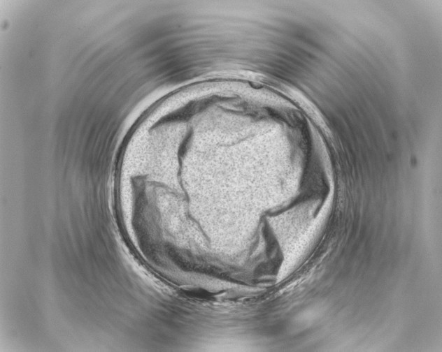 X0000086980955200705141712