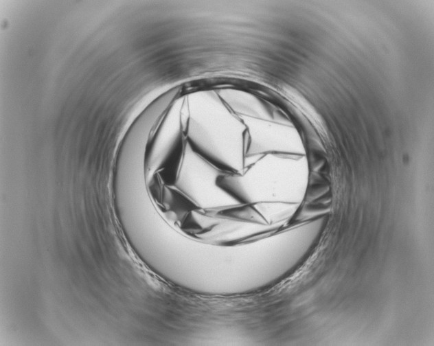 X0000086980956200705141712