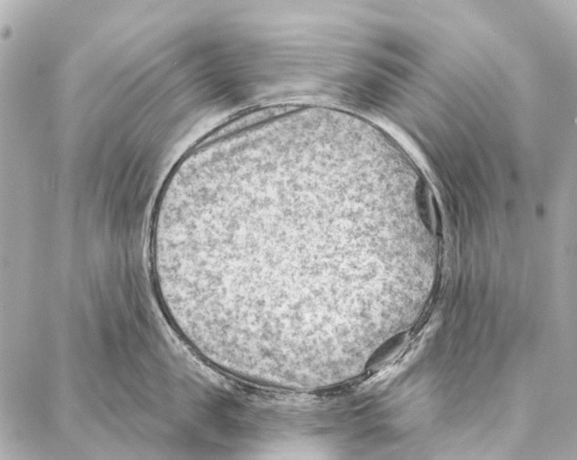 X0000086980957200705141712