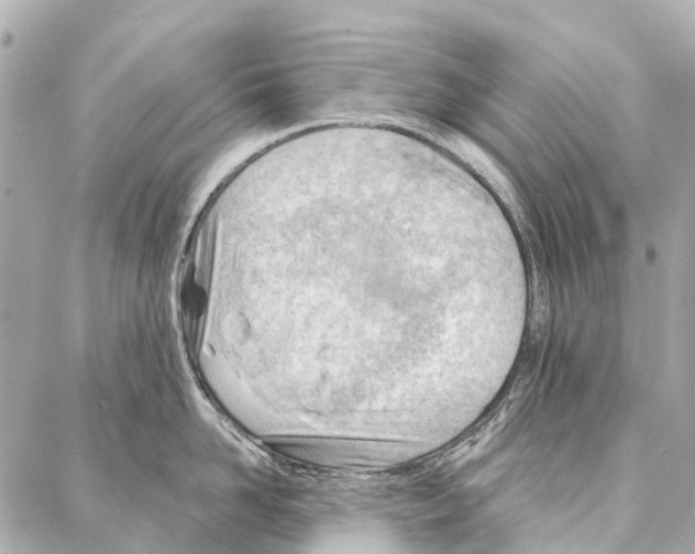 X0000086980958200705141712