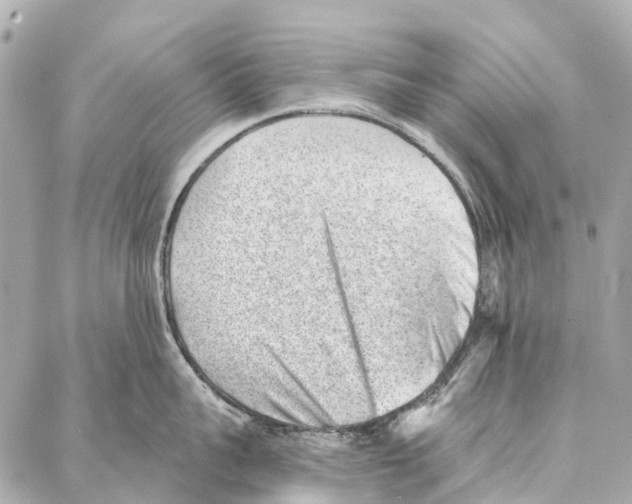 X0000086980959200705141712