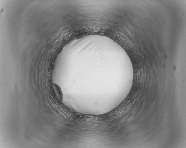 X0000086980961200705141712