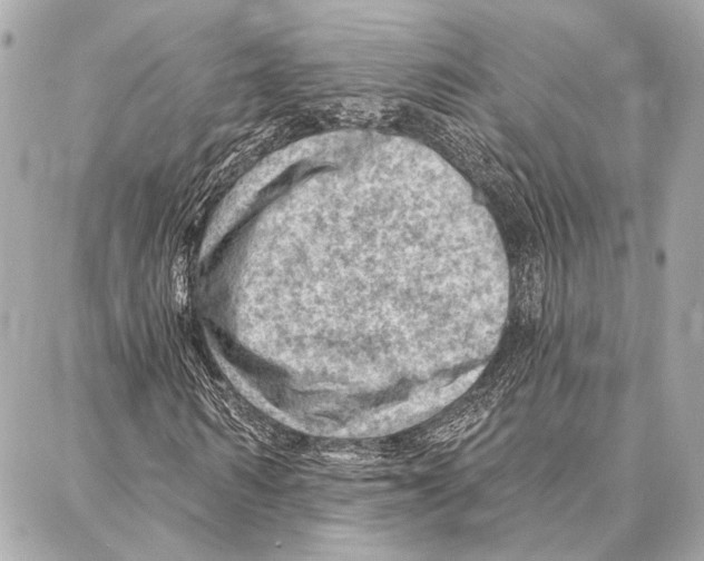 X0000086980962200705141712