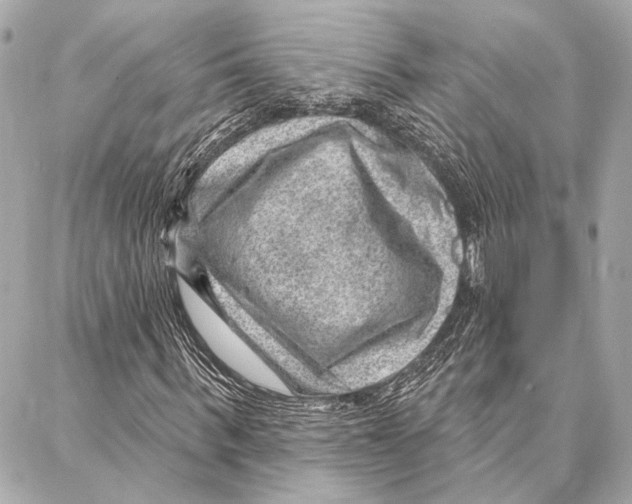 X0000086980963200705141712