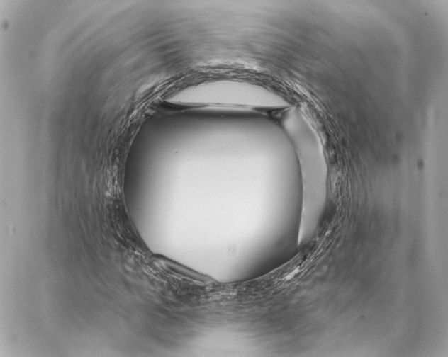 X0000086980965200705141712