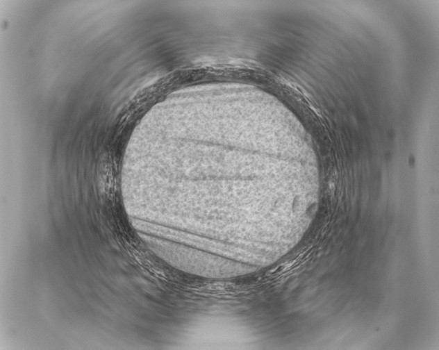 X0000086980966200705141712