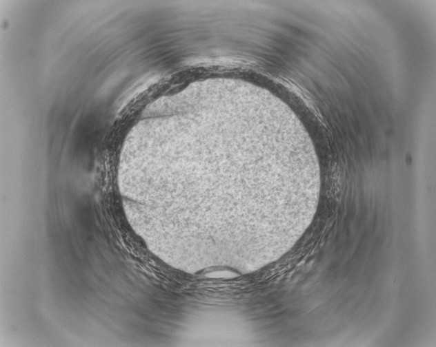 X0000086980967200705141712