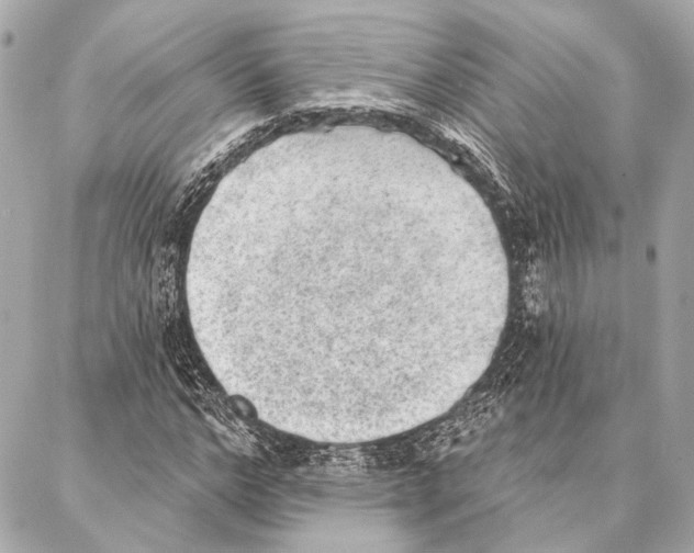 X0000086980968200705141712