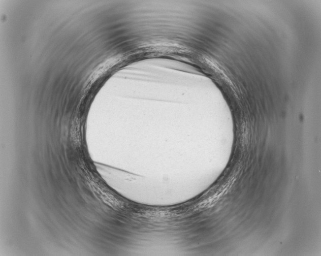 X0000086980970200705141712