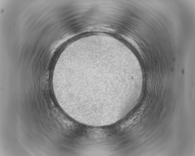 X0000086980971200705141712