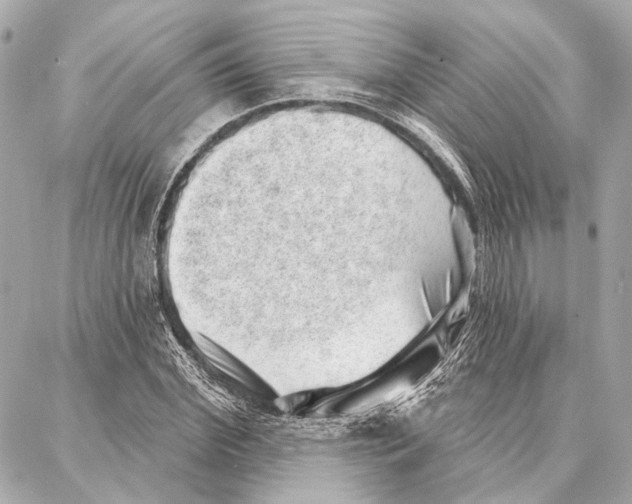 X0000086980972200705141712