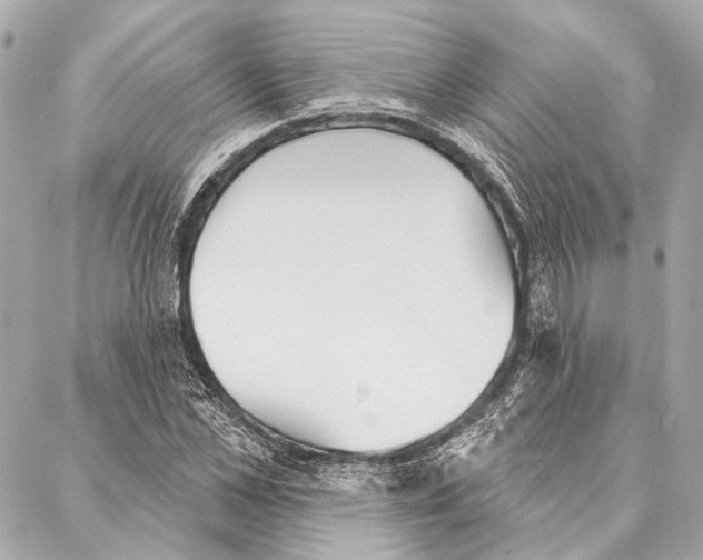 X0000086980973200705141712