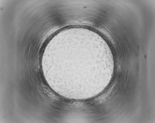 X0000086980974200705141712