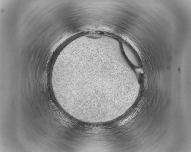 X0000086980975200705141711