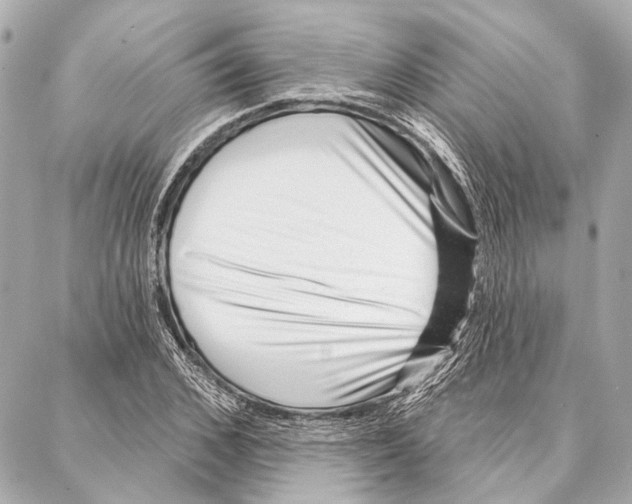 X0000086980976200705141711