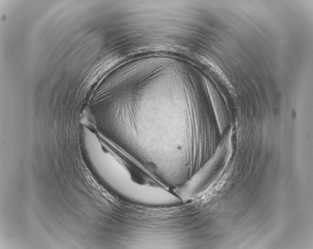 X0000086980977200705141711