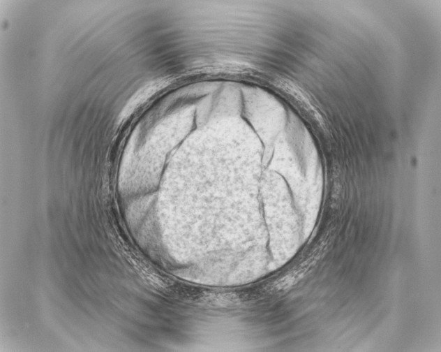 X0000086980978200705141711