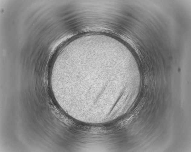 X0000086980979200705141711