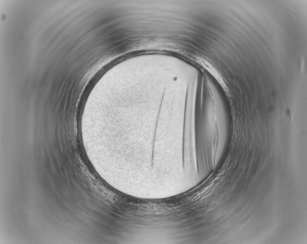 X0000086980980200705141711