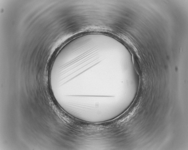 X0000086980981200705141711