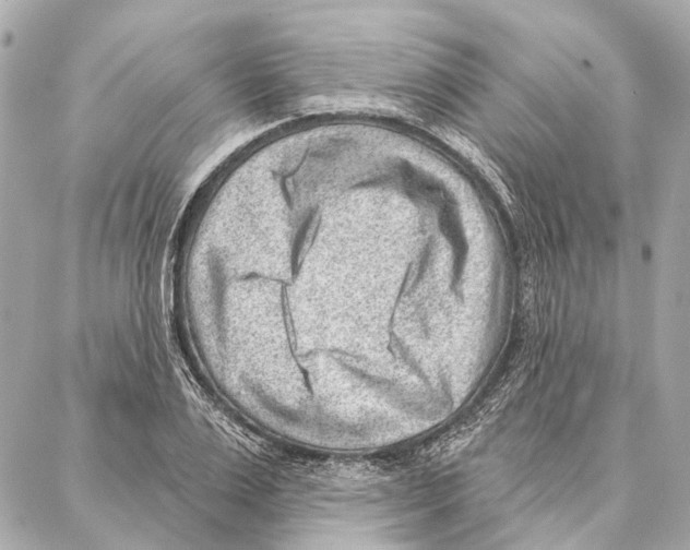 X0000086980983200705141711