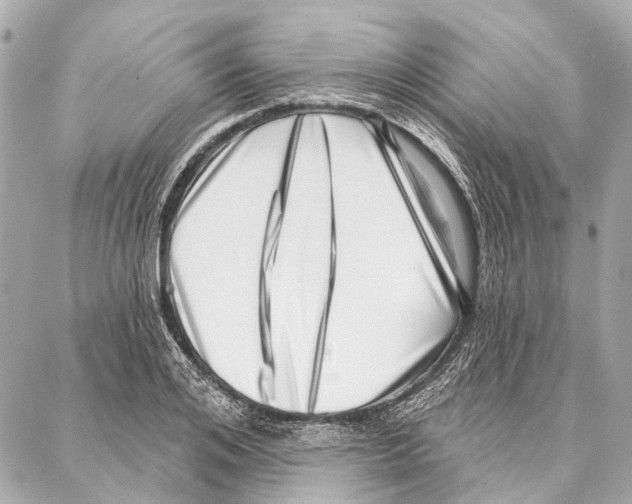 X0000086980984200705141711