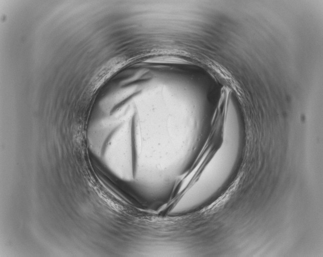 X0000086980985200705141711