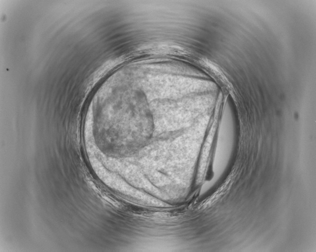 X0000086980986200705141711