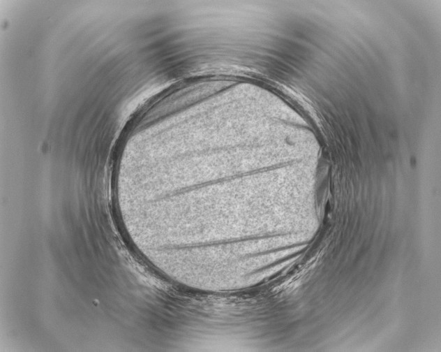 X0000086980987200705141711