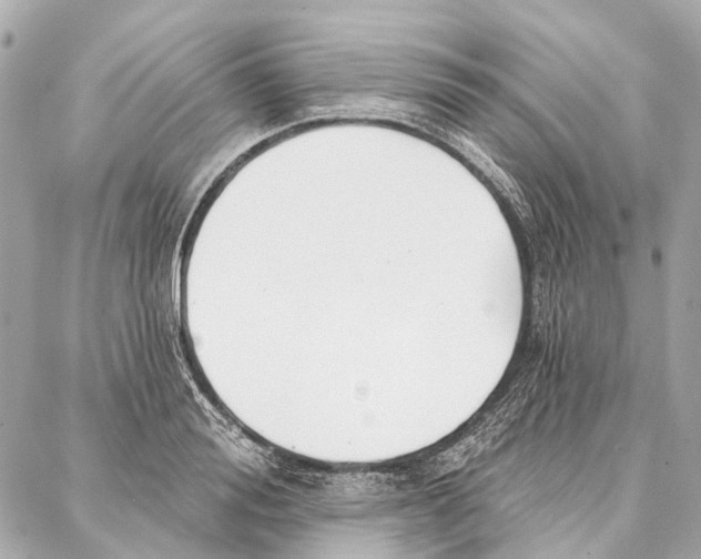 X0000086980988200705141711