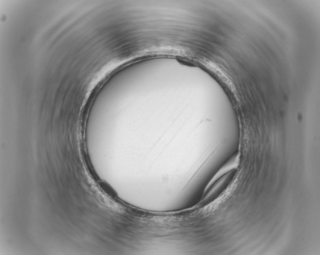 X0000086980989200705141711