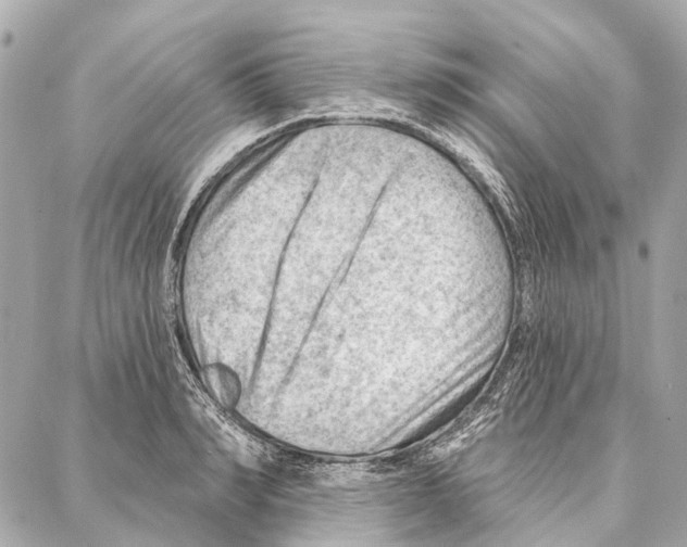 X0000086980990200705141711