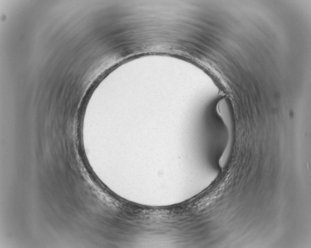 X0000086980991200705141711