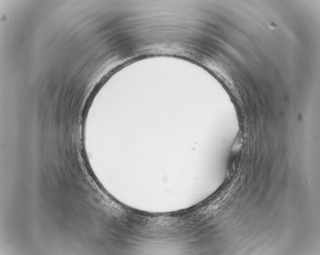 X0000086980992200705141711