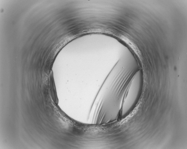 X0000086980993200705141711