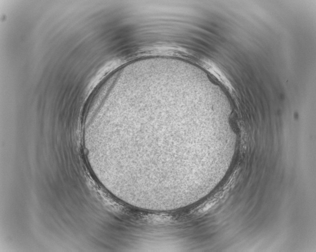 X0000086980994200705141711