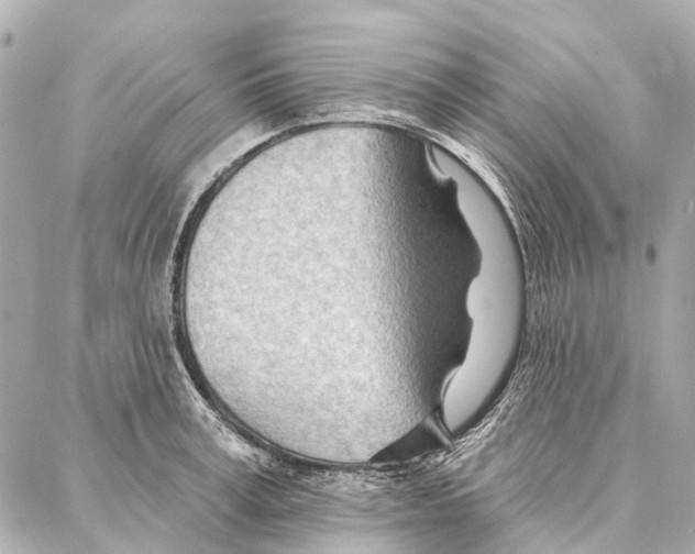 X0000086980995200705141711