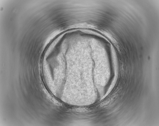 X0000086980998200705141711