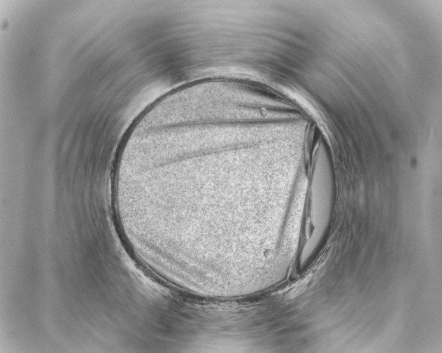 X0000086980999200705141711