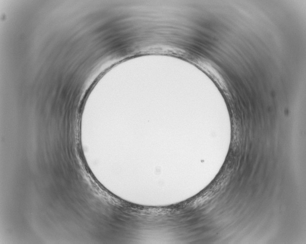 X0000086981000200705141711