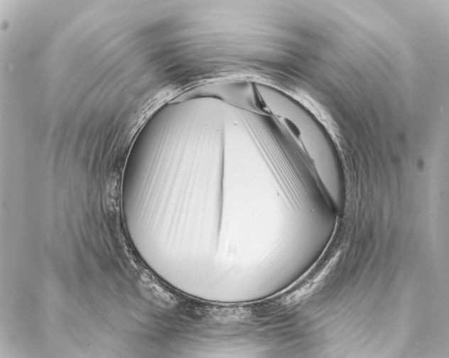 X0000086981001200705141711